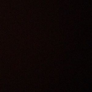 Meet your Posher, Ellie